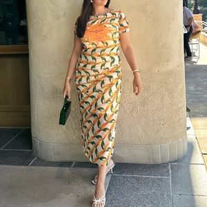 Farm Rio Anthropologie Printed Mesh Toucan Bird Sun Midi Fitted Dress size Small